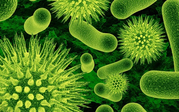 microbial world